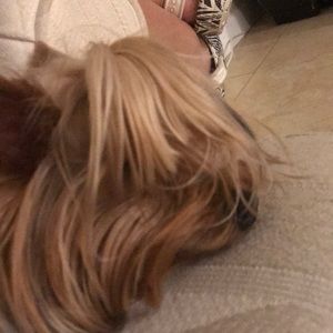 Meet your Posher, Sofia